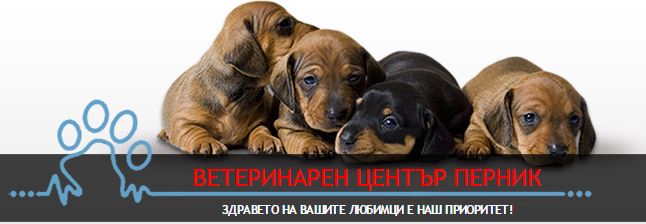 Image for Ветеринарен център Перник