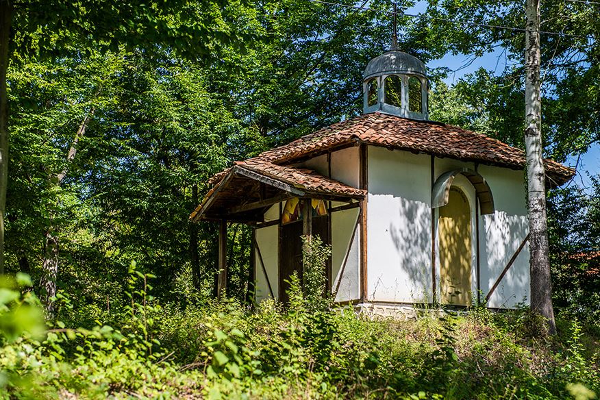 "Трухчевата къща" | Комплекс за селски туризъм, Вълчовци