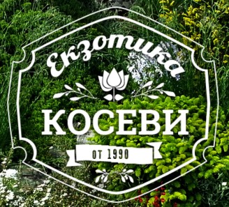 Image for "Екзотика - Косеви" ООД | Озеленяване, Лясковец