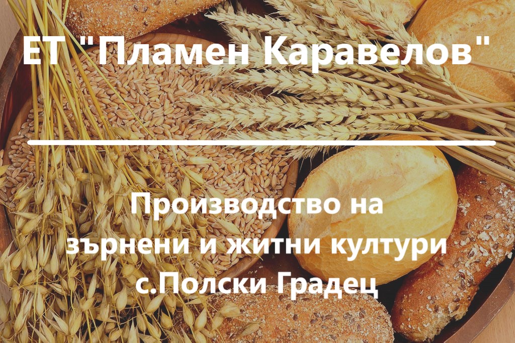 Image for ЕТ "Пламен Каравелов" | Производство на зърнени и житни култури, с.Полски Градец