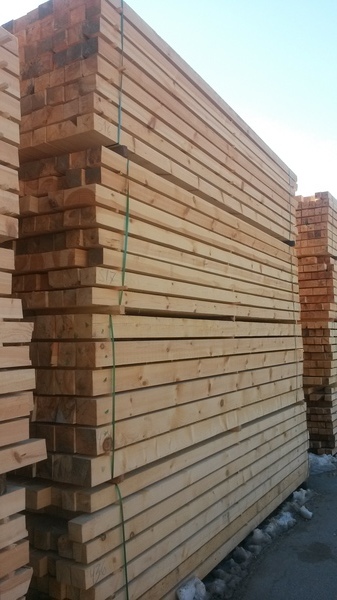 Башев 09 - Производство и търговия с дървен материал, София