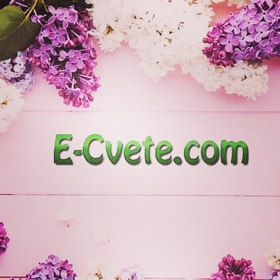 Image for E-cvete.com